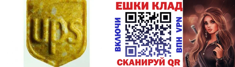 Ecstasy Philipp Plein  Новоуральск 