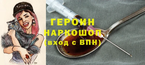 хмурый Пересвет