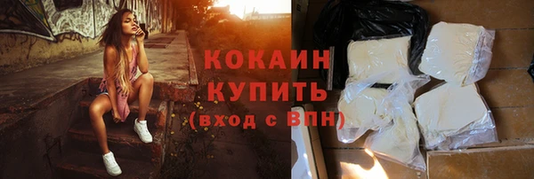 хмурый Пересвет