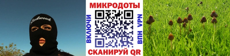 Псилоцибиновые грибы мицелий  Новоуральск 